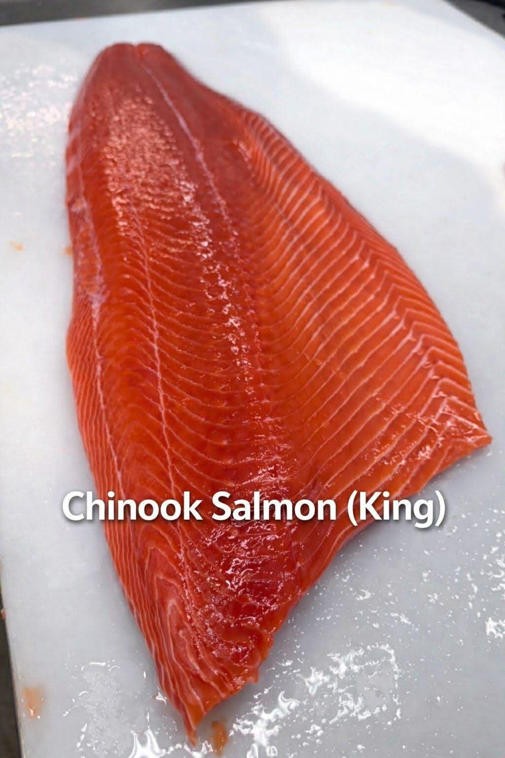 Chinook Salmon (King)