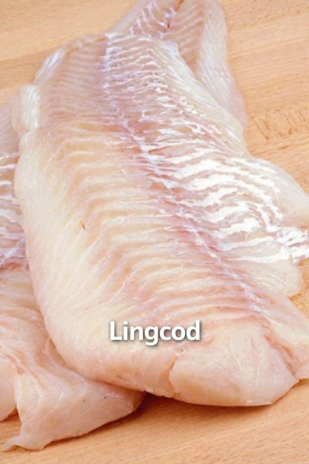 Lingcod
