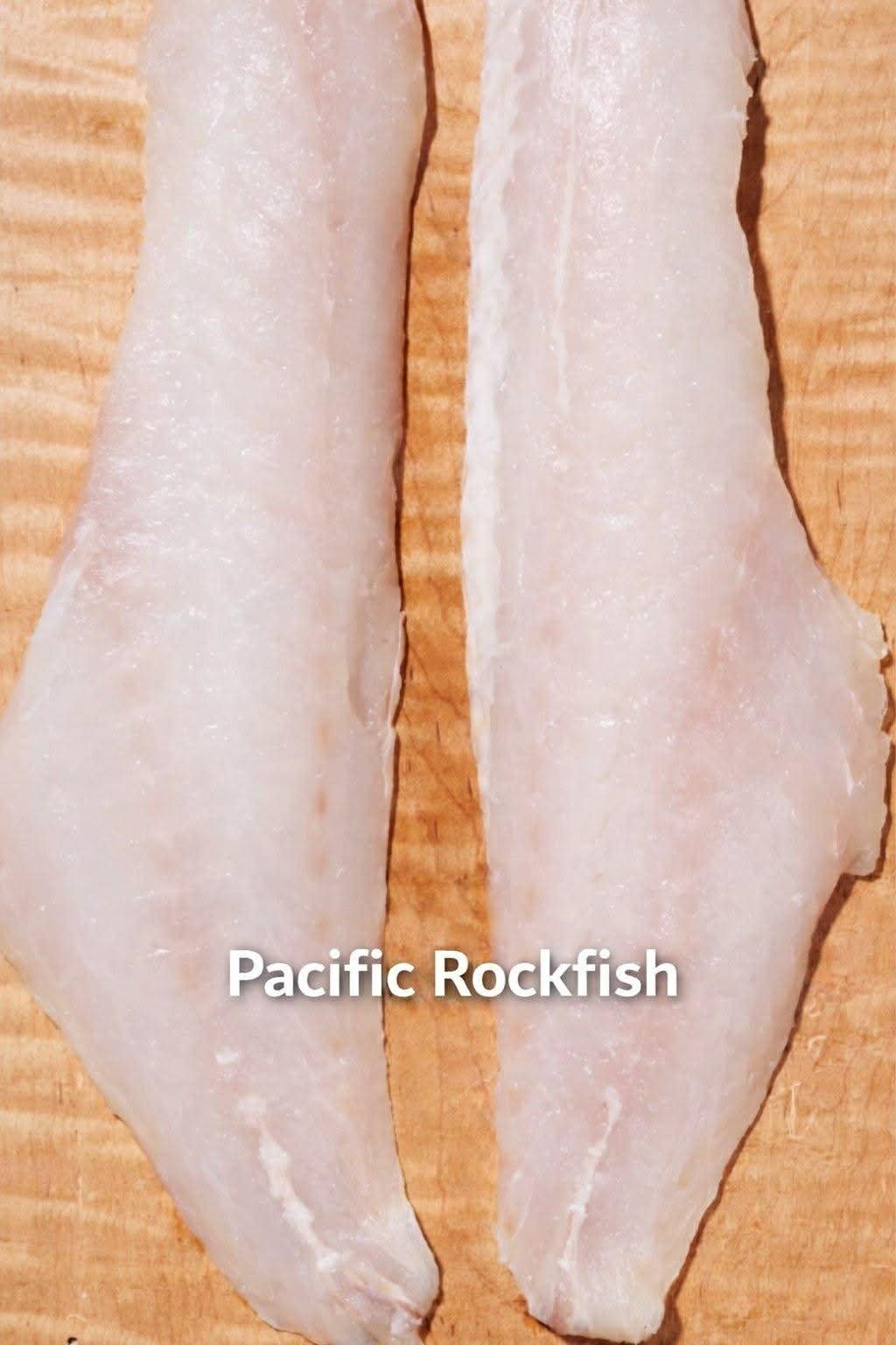 Pacific Rockfish