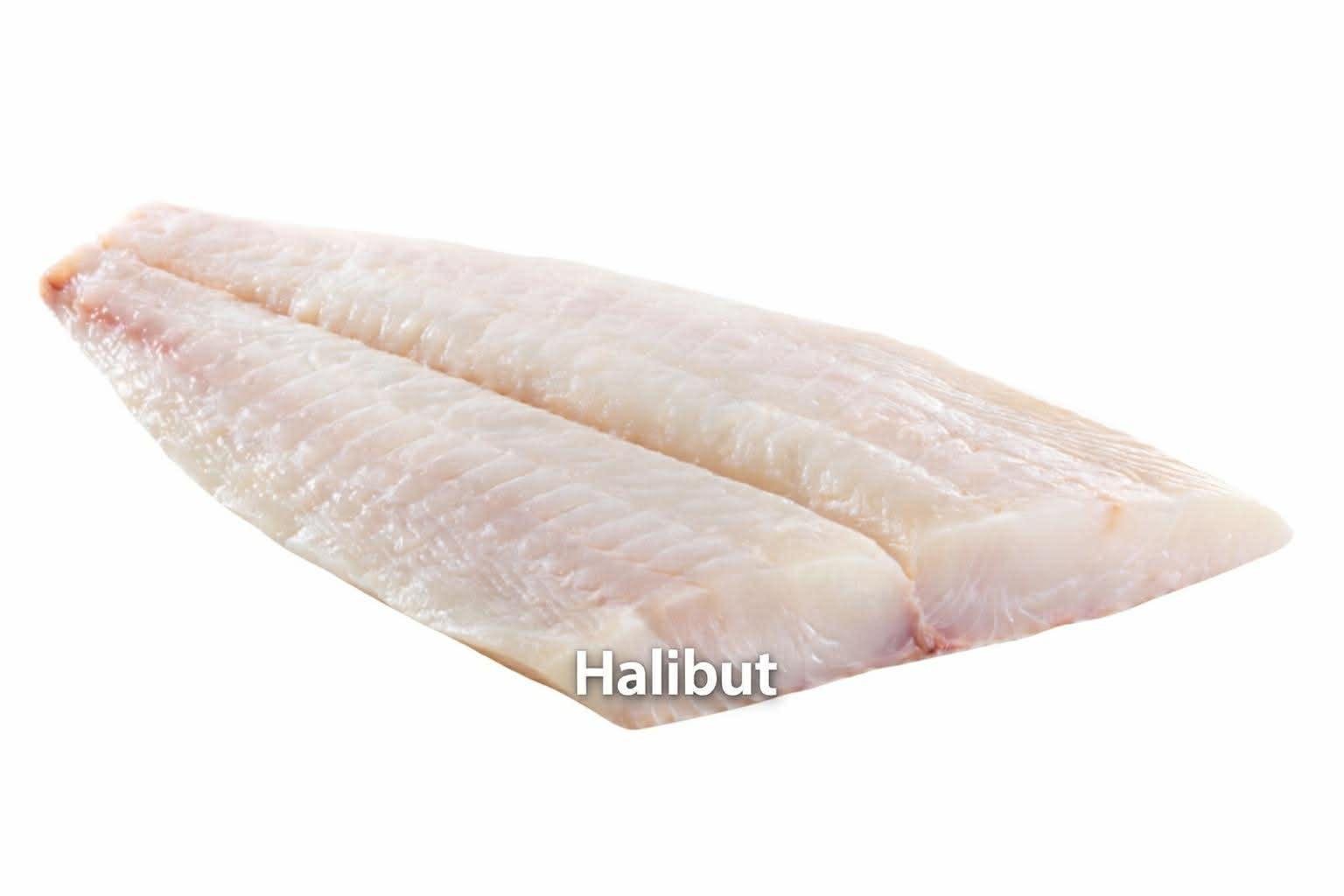 Halibut